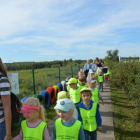 dzien_przedszkolaka23_wiad_13