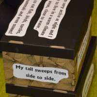 australia2026_wiad_18