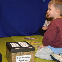 australia2026_wiad_21