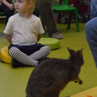 australia2026_wiad_29