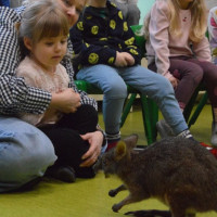 australia2026_wiad_30