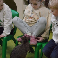 australia2026_wiad_34