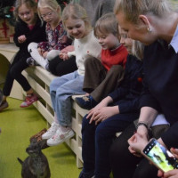 australia2026_wiad_35