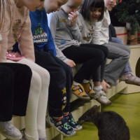 australia2026_wiad_37