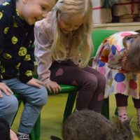 australia2026_wiad_38