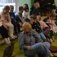 australia2026_wiad_39