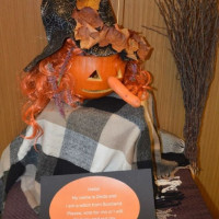 dynia_konk_25_wiad_7