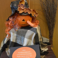 dynia_konk_25_wiad_9