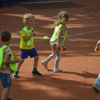 tenis_zon_43