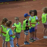 tenis_zon_44