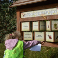 pow_jes26_wiad_35